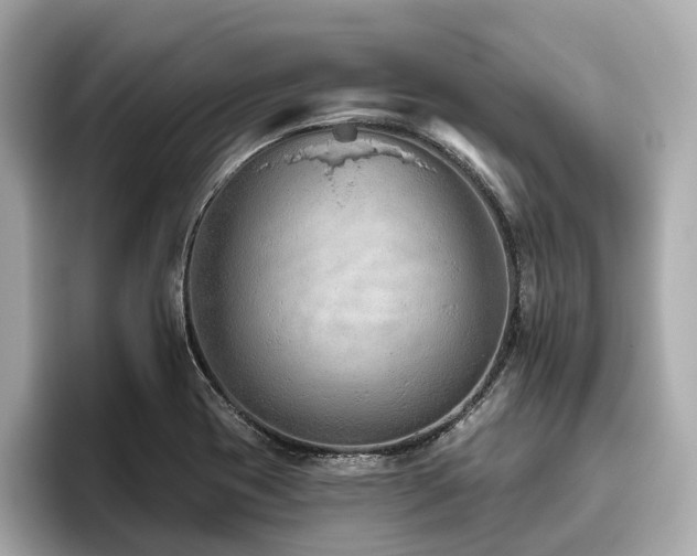 X0000096631417200802051057