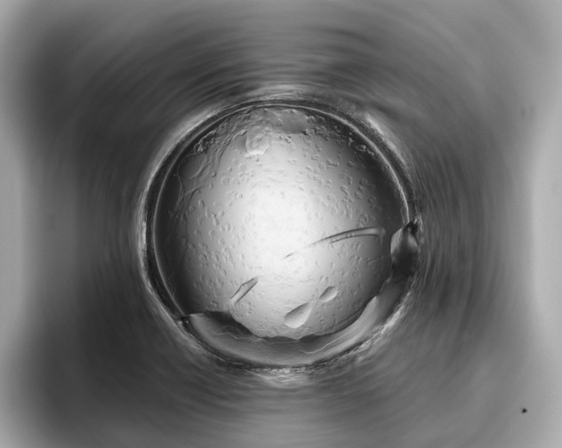 X0000096631418200802051057