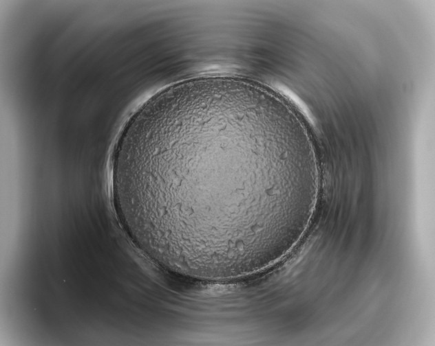 X0000096631419200802051057