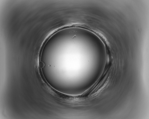 X0000096631420200802051057