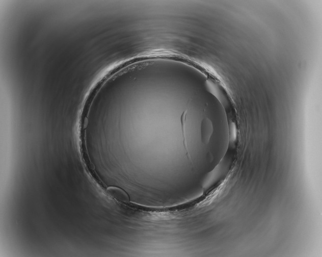 X0000096631422200802051057