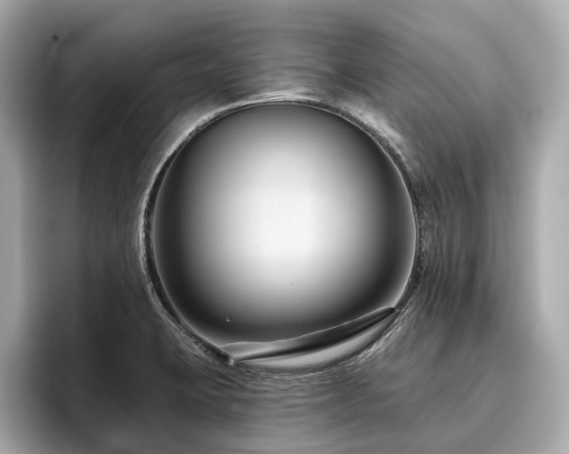 X0000096631423200802051057