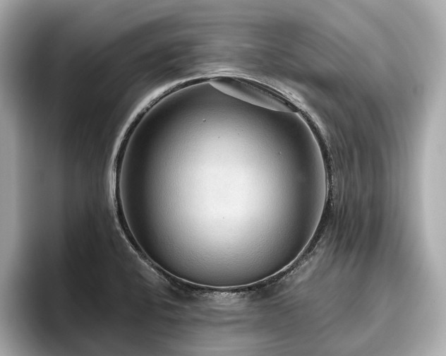 X0000096631424200802051057
