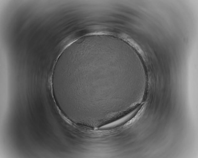 X0000096631425200802051057