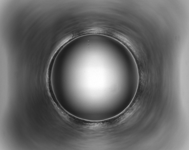 X0000096631426200802051057
