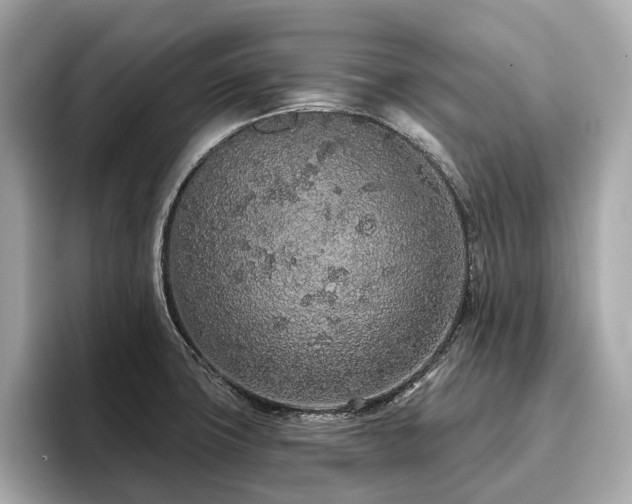 X0000096631427200802051057