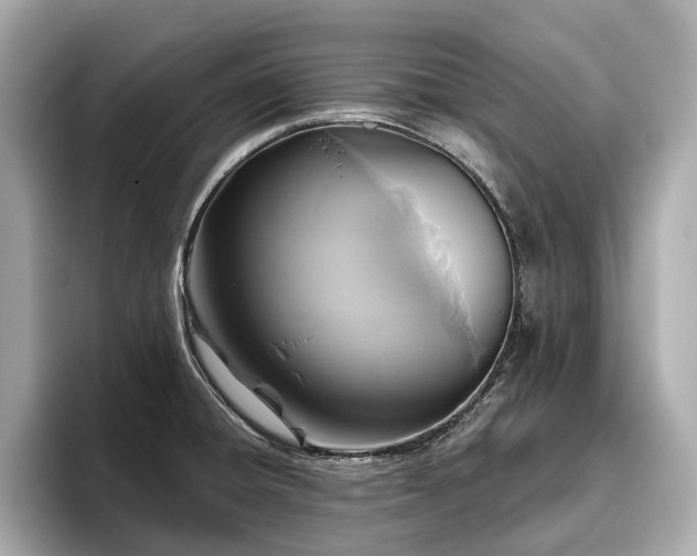 X0000096631428200802051057