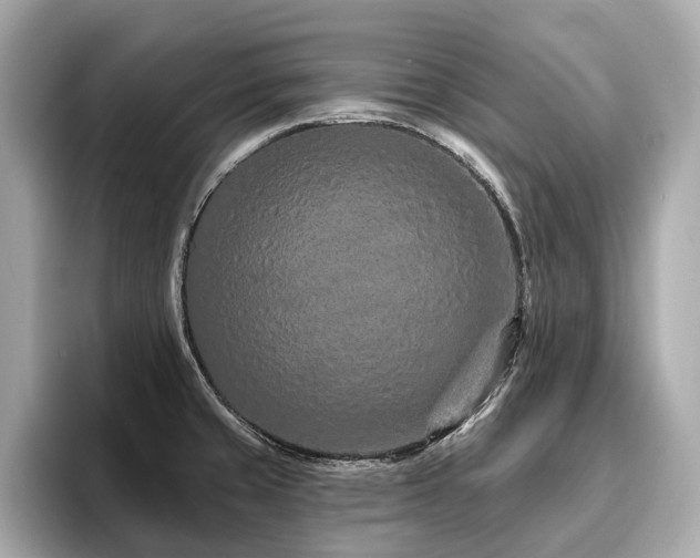 X0000096631429200802051057