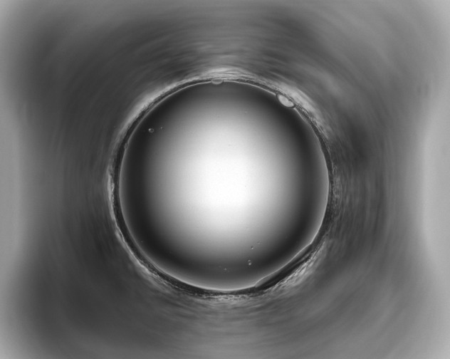 X0000096631430200802051057