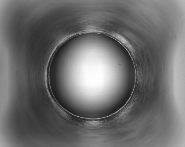 X0000096631431200802051057