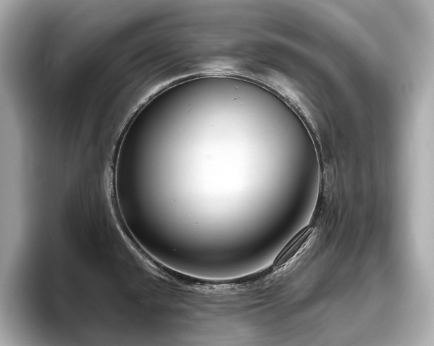 X0000096631432200802051057