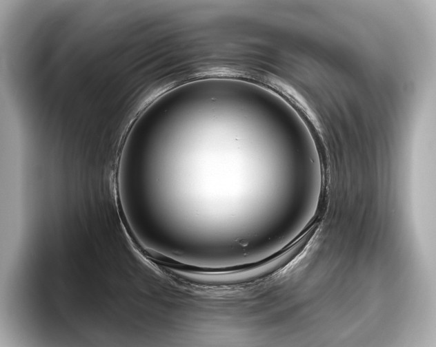 X0000096631433200802051057