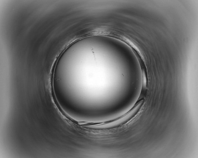 X0000096631434200802051057