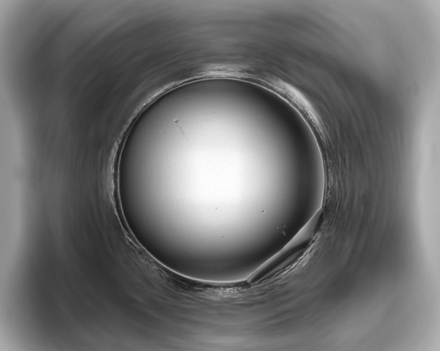 X0000096631435200802051057