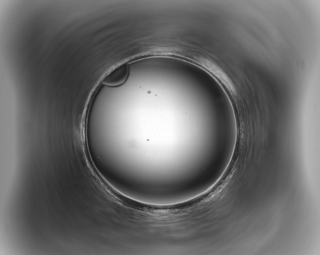 X0000096631436200802051057