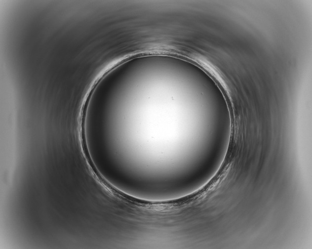 X0000096631437200802051057