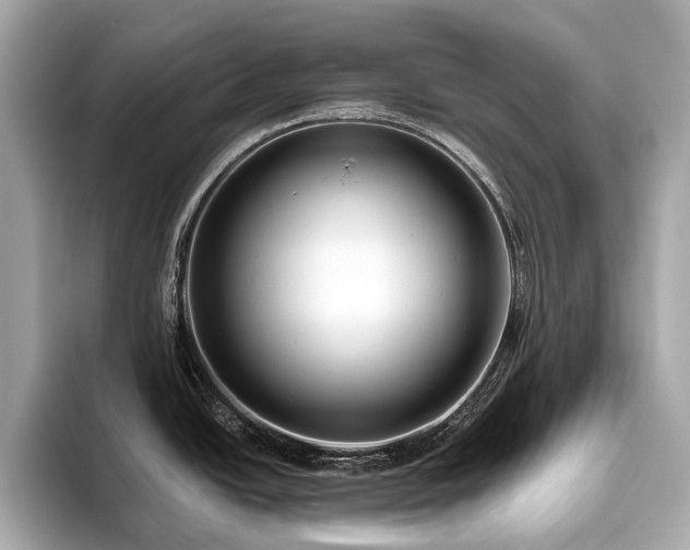 X0000096631438200802051057