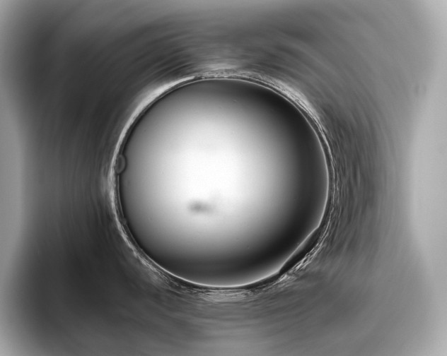 X0000096631440200802051057