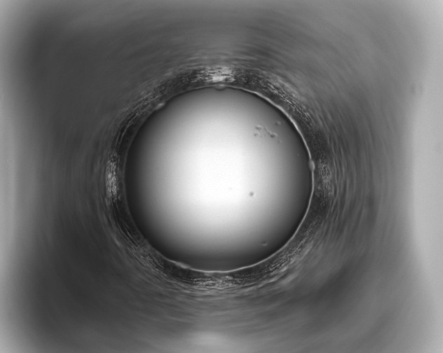 X0000096631442200802051057