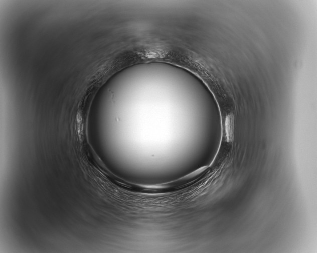 X0000096631443200802051057