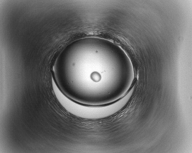 X0000096631444200802051057