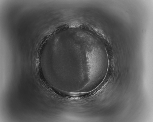 X0000096631445200802051057
