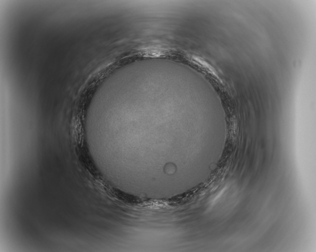 X0000096631446200802051057