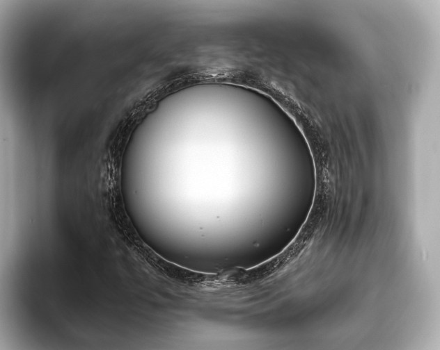 X0000096631447200802051057