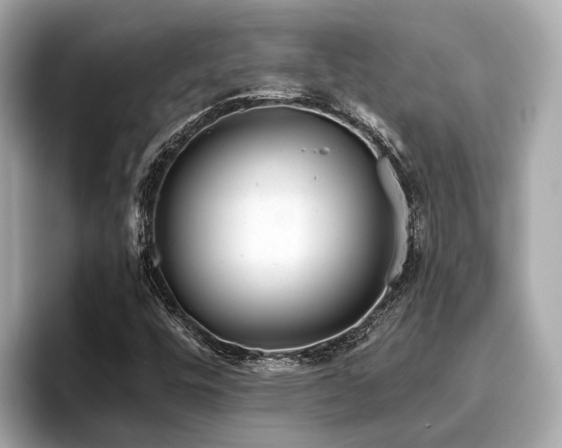 X0000096631448200802051057