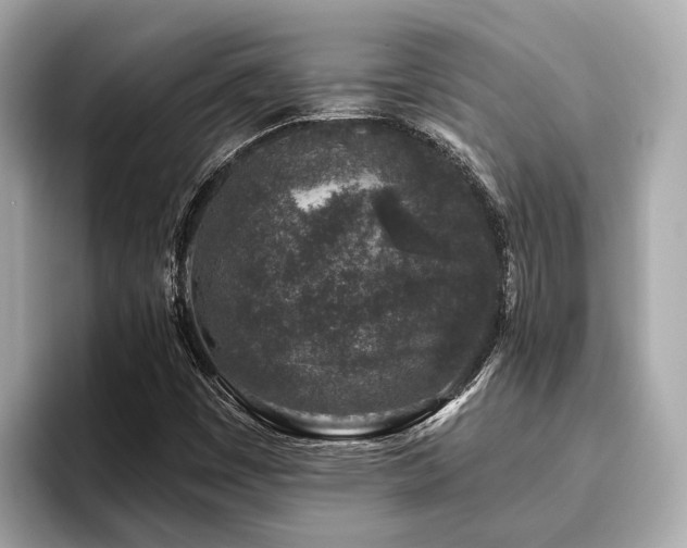 X0000096631449200802051057