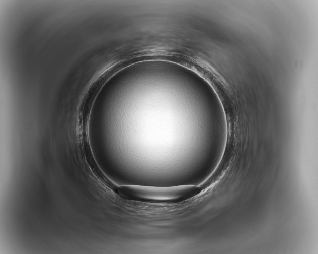 X0000096631450200802051057