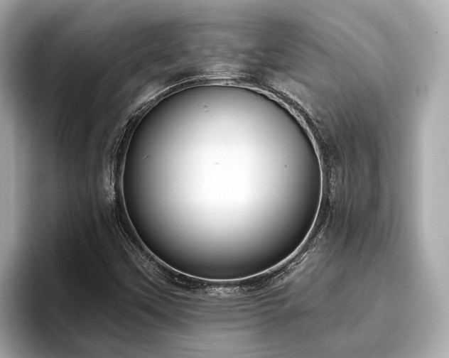 X0000096631451200802051057