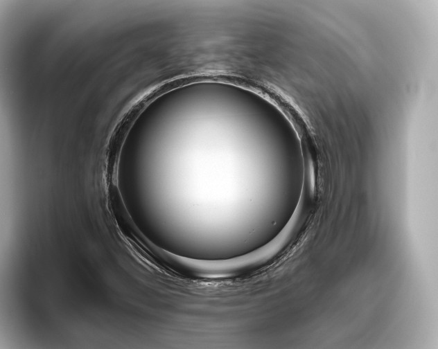 X0000096631452200802051057