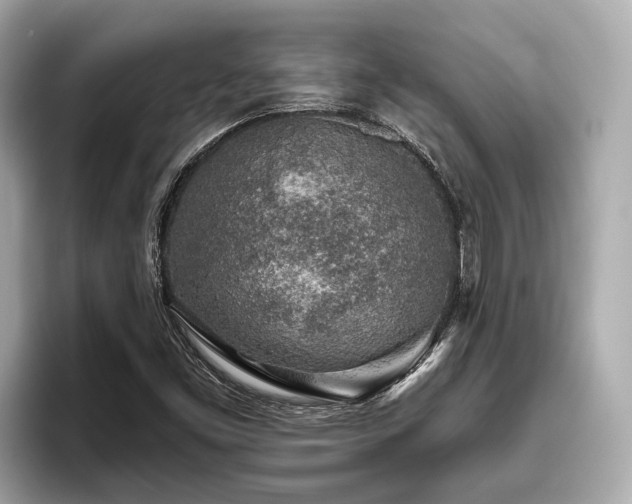 X0000096631453200802051057