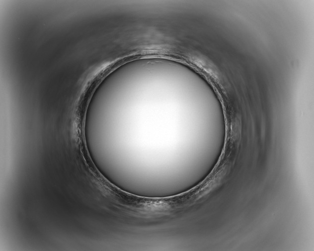 X0000096631454200802051057