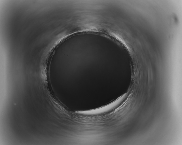 X0000096631455200802051057