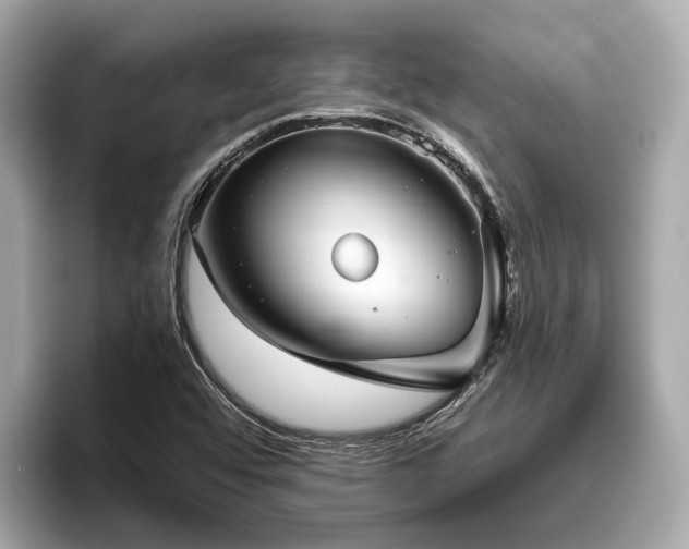 X0000096631456200802051057