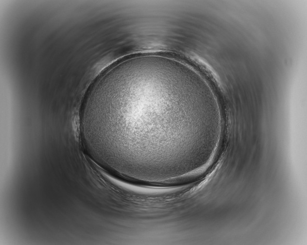 X0000096631457200802051057