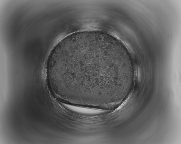 X0000096631459200802051056