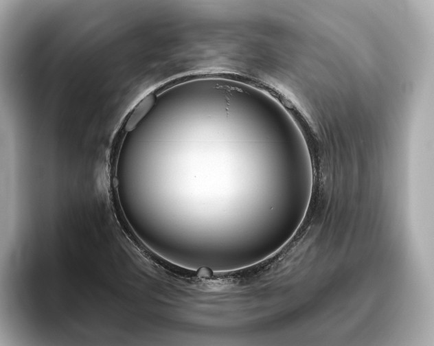 X0000096631460200802051056
