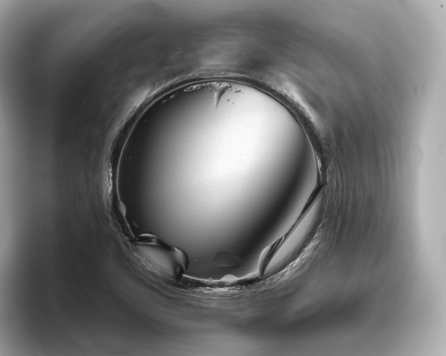 X0000096631461200802051056