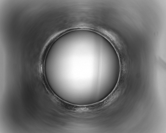 X0000096631462200802051056
