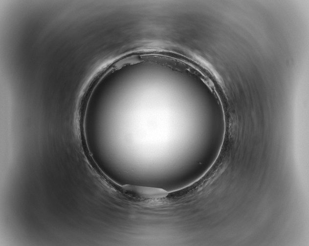 X0000096631464200802051056