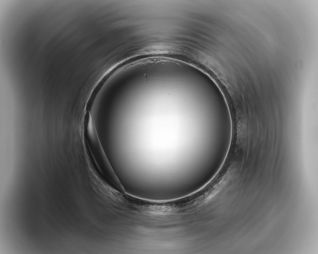 X0000096631465200802051056