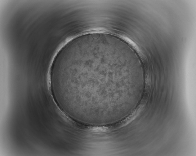 X0000096631466200802051056