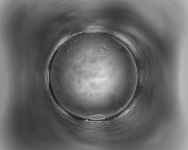 X0000096631467200802051056