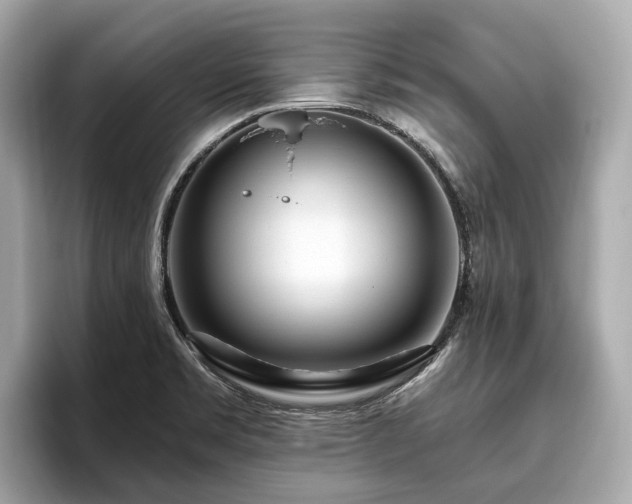 X0000096631469200802051056