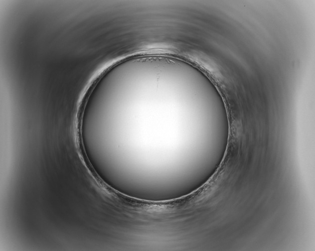 X0000096631470200802051056