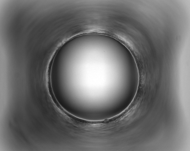 X0000096631471200802051056