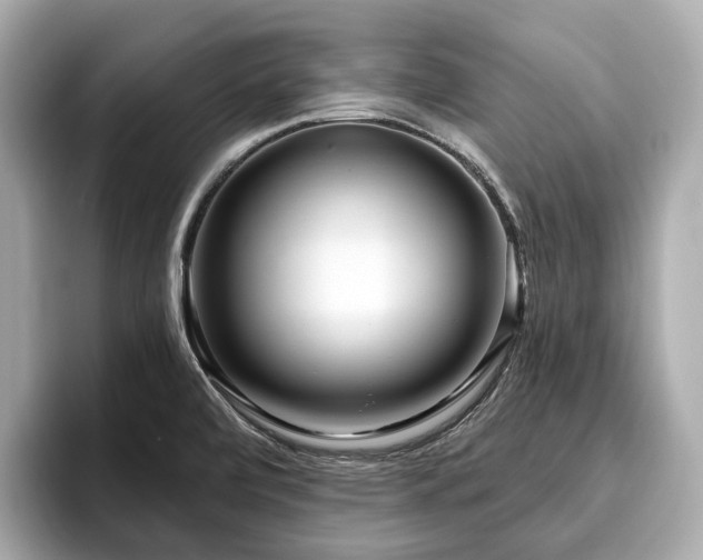 X0000096631472200802051056
